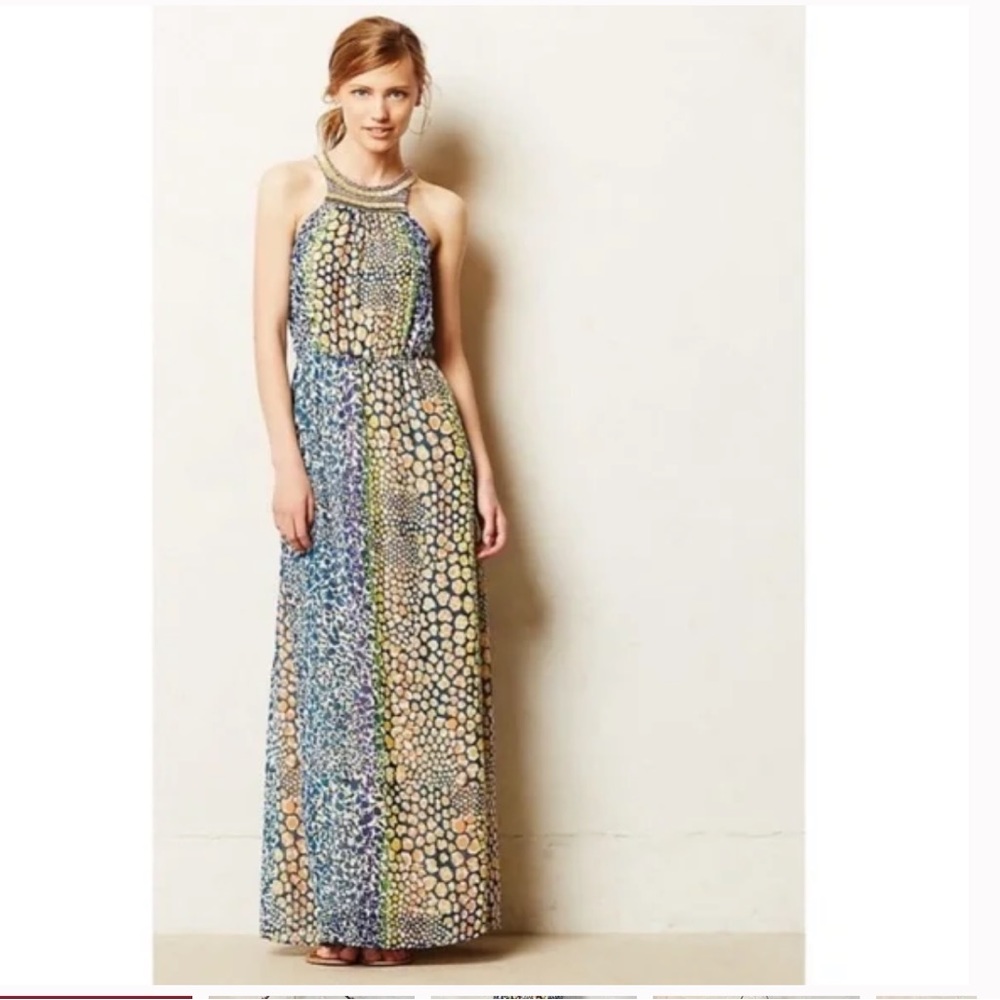 Anthropologie HD in Paris blue animal print maxi dress. Size 6